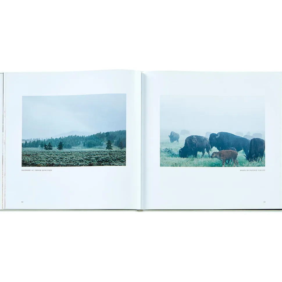Yellowstone: A Land of Wild and Wonder Bonded Leather