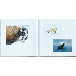 Yellowstone: A Land of Wild and Wonder Bonded Leather
