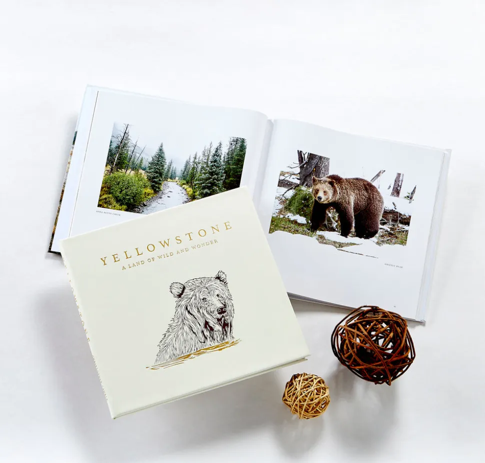 Yellowstone: A Land of Wild and Wonder Bonded Leather
