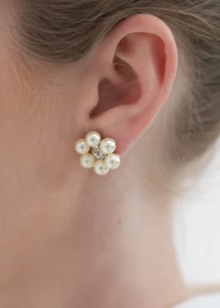 Zaya Studs in Crystal